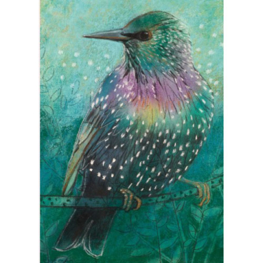 Postkarte Star II (L. Botman)