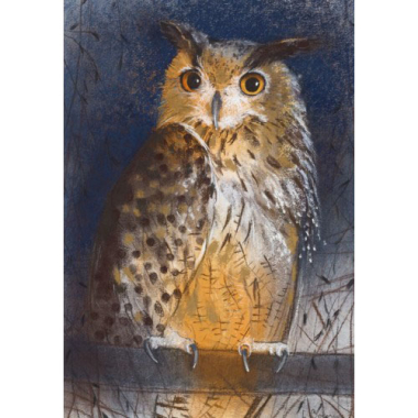 Postkarte Waldohreule (L. Botman)