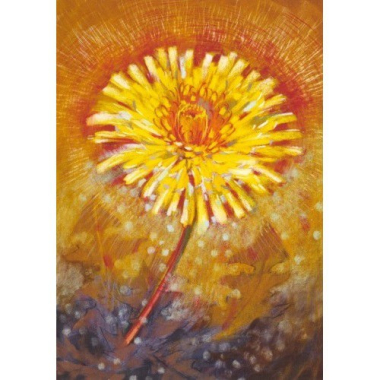 Postkarte Löwenzahn II (L. Botman)