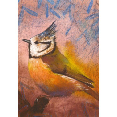 Postkarte Haubenmeise (L. Botman)