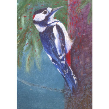 Postkarte Buntspecht (L. Botman)