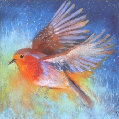 Square Flighty Robin II (L. Botman)