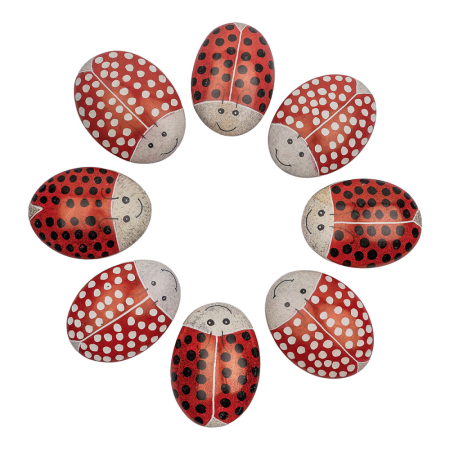 Steen kisii lieveheersbeestje