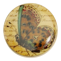 Pillendoos messing vlinder bruin