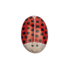 Steen kisii lieveheersbeestje