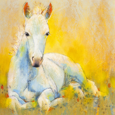 Veulentje (Loes Botman)