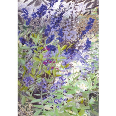 Anischtkaart dubbel Riddersporen II (J. Hudig)