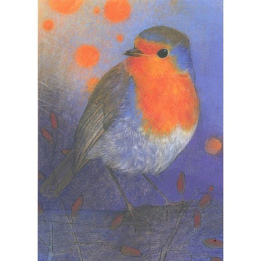 Postkarte Robin (Kleines Vogelbuch 2)( L. Botman)