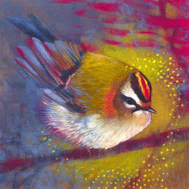 Goudhaan (Loes Botman)