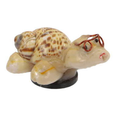 Magnet shell turtle S