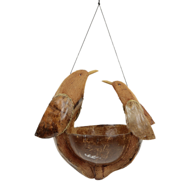 Hanger coconut birdfeeder bird 2