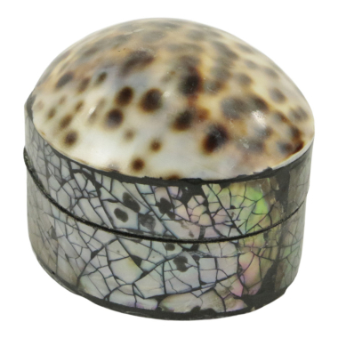 Doos schelp tijgeroog