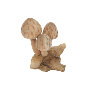 Beeld paddenstoelen naturel