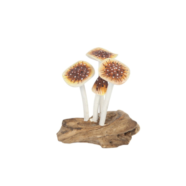 Beeld paddenstoelen oranje