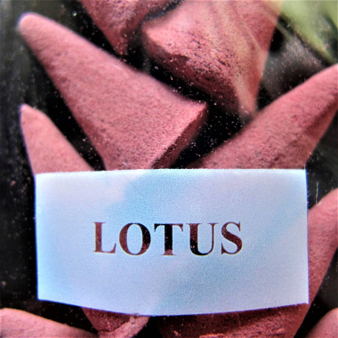 Wierook, 10 kegeltjes, Lotus