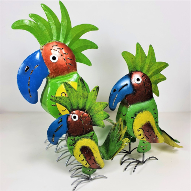 Burung Tropical, Medium