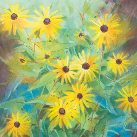 Helianthus annuus (Loes Botman)