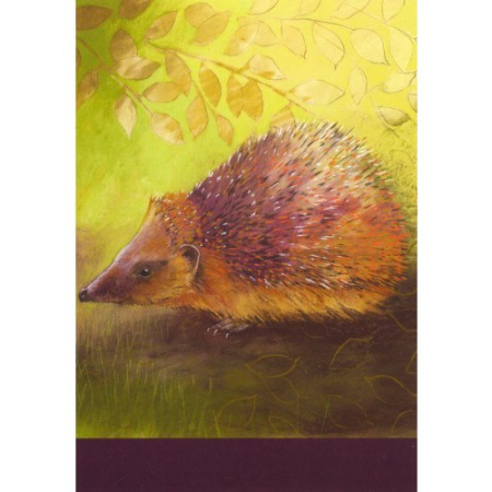 Ansichtkaart Egel (L. Botman)