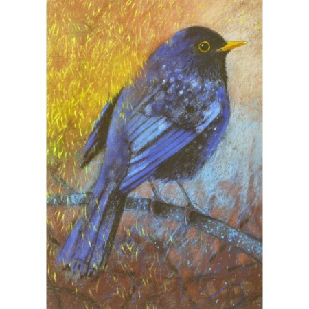 Postkarte Morning Glory (Loes Botman)