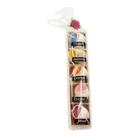 Cadeau box kaarsen shell mini set5