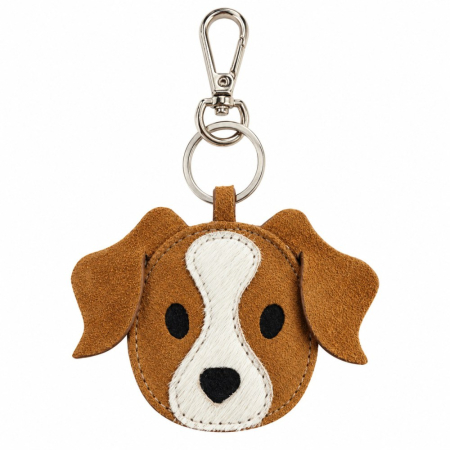 Tashanger leer hond