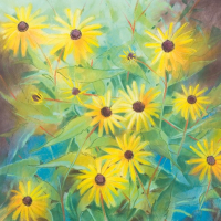 Helianthus annuus (Loes Botman)