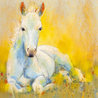 Veulentje (Loes Botman)