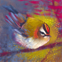 Goudhaan (Loes Botman)