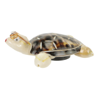 Magneet schelp schildpad M