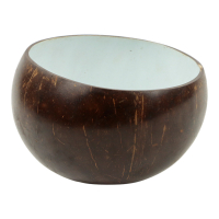 Schaal kokosnoot wit