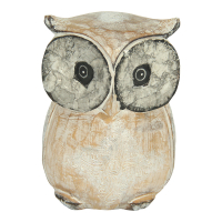 Beeld hout uil witte was L