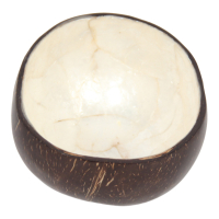 Schaal kokosnoot schelp S