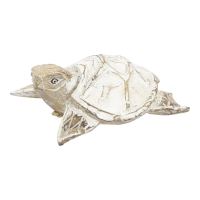 Beeld hout schildpad bewerkt white wash S