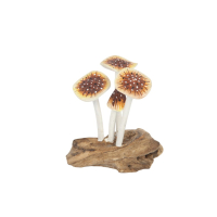 Beeld paddenstoelen oranje