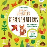 Dieren in het bos - oefenboek