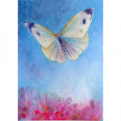 Ansichtkaart Vlinder in blauwe lucht (L. Botman)