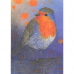 Ansichtkaart Roodborst (Klein vogelboek 2)( L. Botman)