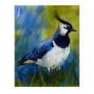 Postkarte Kiebitz (L. Botman)