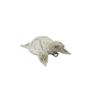 Beeld schildpad bewerkt white wash M