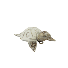 Beeld schildpad bewerkt white wash L
