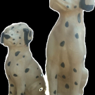 Dalmati?r SUAR 30 cm