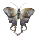 Wanddeco metalen vlinder Exotic model 02, 55 x 47 cm Brown