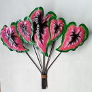 Walldeco Anthurium 75 x 50 x 15 cm