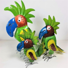 Burung Tropical, Medium